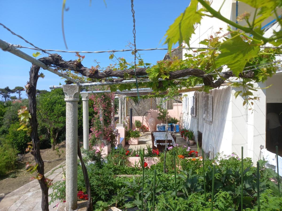 Villa Sea Dream Kolocep Gornje Celo Exterior foto