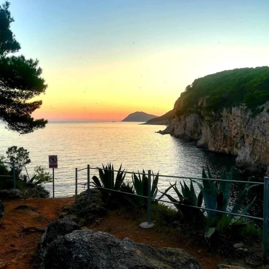 Villa Sea Dream Kolocep Gornje Celo Exterior foto